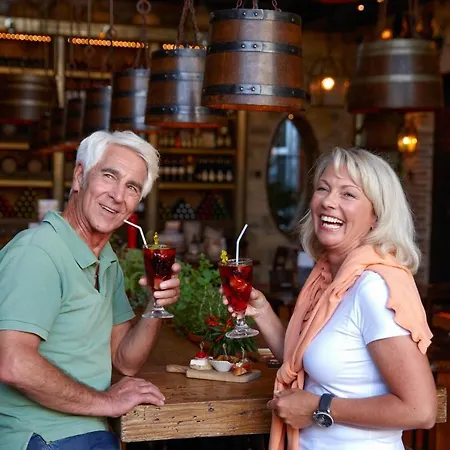 Ξενοδοχείο 4-sterne Burghotel Castillo Alcazar, Europa-park Erlebnis-resort